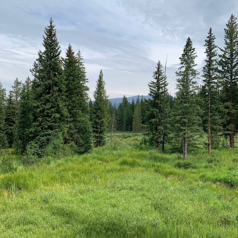 Meet your Posher, Beth